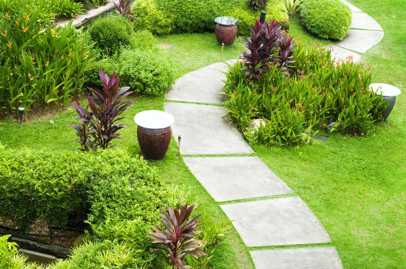 small concrete pathway surrounded with plants